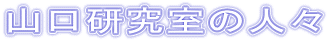 R̐lX